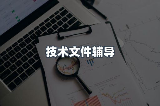技术文件辅导