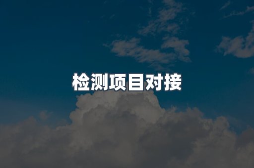 检测项目对接